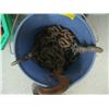 Image 2 : BUCKET WITH ASST. CHAIN