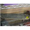Image 1 : SKATEBOARD