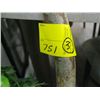 Image 2 : 2 ARTIFICIAL TREES & ARTIFICIAL PLANT