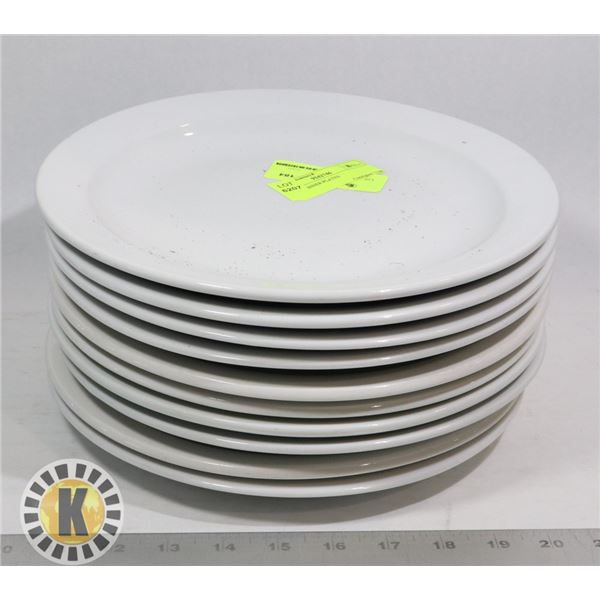 10 LG DINNER PLATES