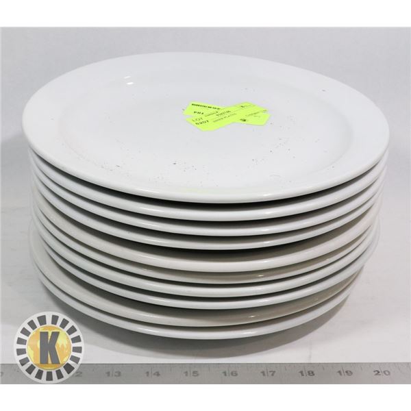 10 LG DINNER PLATES
