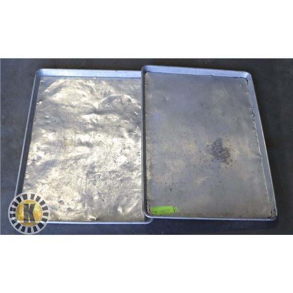 2 LARGE S/S TRAYS