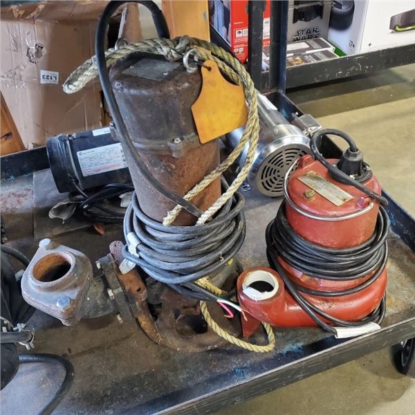 2 WATER PUMPS 1 IS 220V