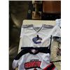 Image 2 : 4 KIDS SPORTS JERSEYS - CANUCKS, SENATORS, CUBS AND BLUE JAYS
