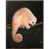 Image 1 : Lemuroid Ringtail Possum Poster #1912986