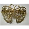 Stunning Butterfly Barrette #1913121