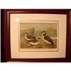 Image 1 : PRINT/LITHOGRAPH PAIR OF DUCKS,SIGNED CK #1917269