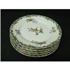 5 Antique Limoges Floral Plates  #1917433