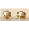 Image 1 : Pair of 18K Gold & Pearl Earrings #1937247