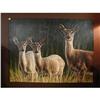 Image 1 : ARTIST SIGNED DEAR DOE OIL CANVAS PAINTING #1947998