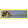 Image 1 : FLEUR GOLD TIE PIN - LALIQE FOREMAN BRIANCON  #1963273