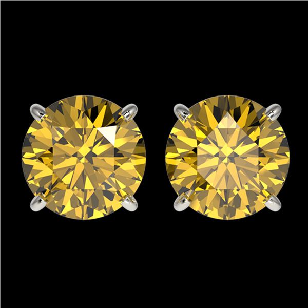 2.57 ctw Certified Intense Yellow Diamond Stud Earrings 10k White Gold - REF-349M8G