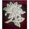 Image 1 : Pave' Rhinestone Brooch #1908177