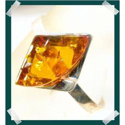 BOLD  contemporary HONEY Baltic Amber Cuff #1908908