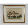 Image 1 : Daniel G. Elliot , "Willow Grouse", Engraving #1920080