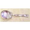 Image 1 : 1890 WHITING ROSES AND  SCROLLS STERLING BERRY #1941240