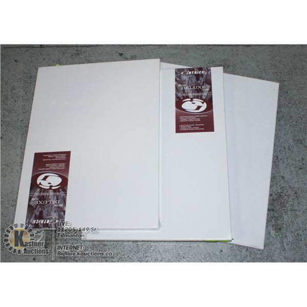 LOT OF 3 16" X 24" CANVAS