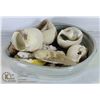 Image 1 : TRAY OF SEA SHELLS ETC