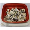 Image 1 : BIN OF SEASHELLS