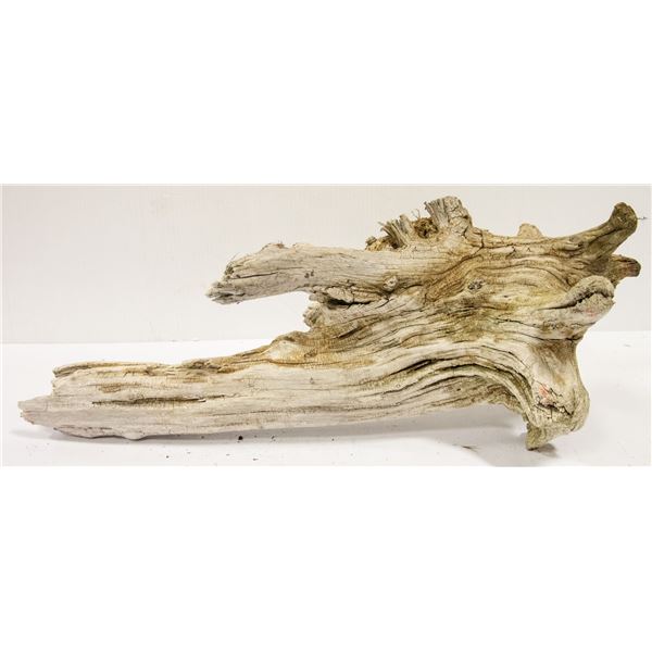 DRIFTWOOD