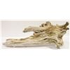 Image 1 : DRIFTWOOD