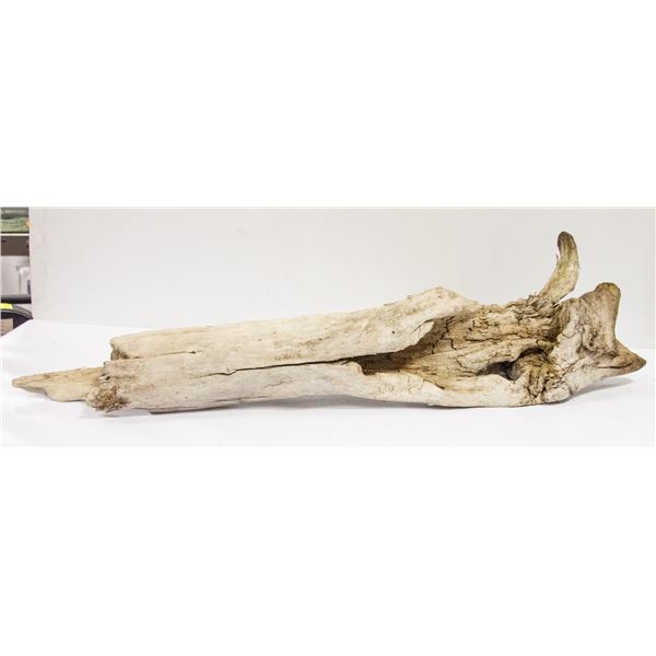 DRIFTWOOD