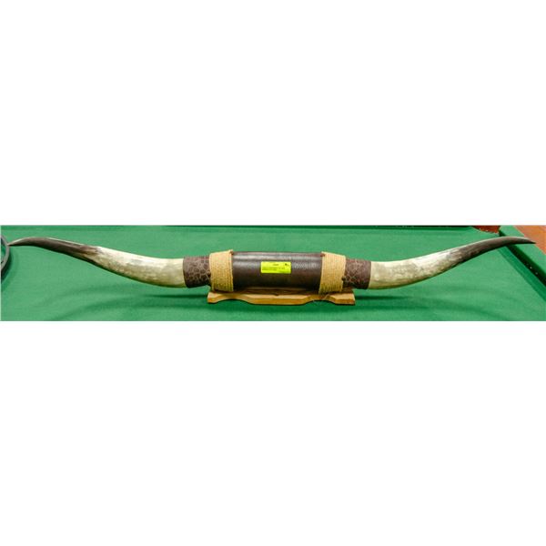 TEXAS LONGHORNS VINTAGE APPROX 3 FT LONG