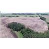 Image 19 : APPROX 160 ACRES ON NE-35-55-14 W4M