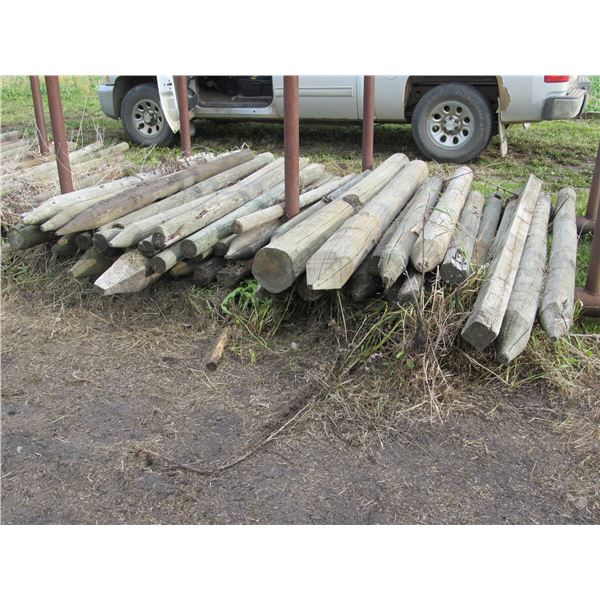 STEEL FRAMED POST BUNK C/W ASST OF FENCE POSTS & WIRE