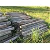 Image 2 : APPROX 250 - 275 USED FENCE POSTS (ALL FOR ONE MONEY)