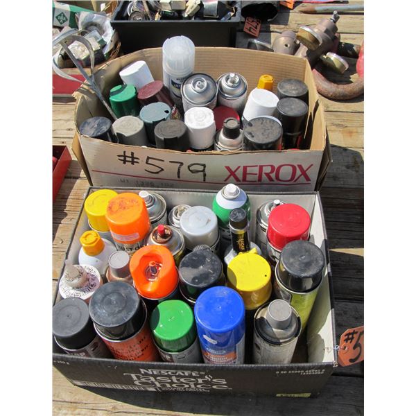 2 BOXES OF ASST PAINT SPRAY CANS