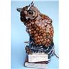 Image 1 : ERNST BOHNE OWL ON BOOKS PORCELAIN PERFUME LAMP#1934746