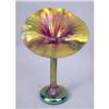 Image 1 : Iridescent Jack-In-The-Pulpit Vase #1934761