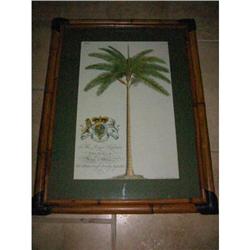 Royal Palm prints w Bamboo frames & green mat! #1935125