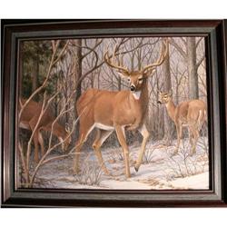 Print White-Tailed Deer 1986 forest woods deer #1941810