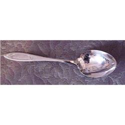 Community  Sugar Spoon ADAM #1942001