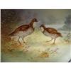 Image 1 : ANTIQUE HAND PAINTED LIMOGES PLATE BIRDS  #1958638