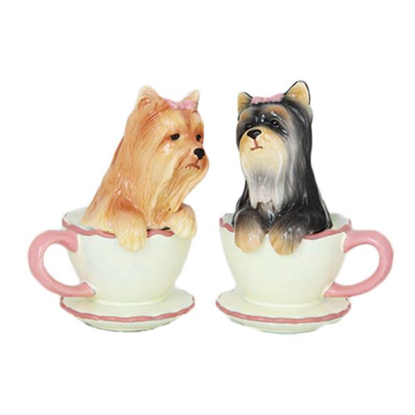 YORKIE PUPPIES IN TEA CUP