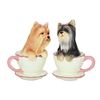 Image 1 : YORKIE PUPPIES IN TEA CUP