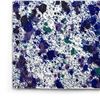 Image 2 : Splash 105 by Wyland Original
