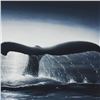 Image 2 : Wyland "Save The Whales" Limited Edition Serigraph on Paper