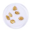 Image 1 : Lot of Gold Nuggets 3.34 grams Total Weight