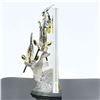 Image 2 : Swarovski Crystal Fish Figurine Grouping, Community