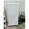 Image 1 : Roll Door Cabinet