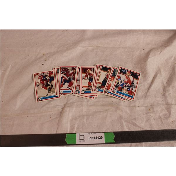 1991 Hockey Cards Lethbridge Hurricanes Team (21 cards)