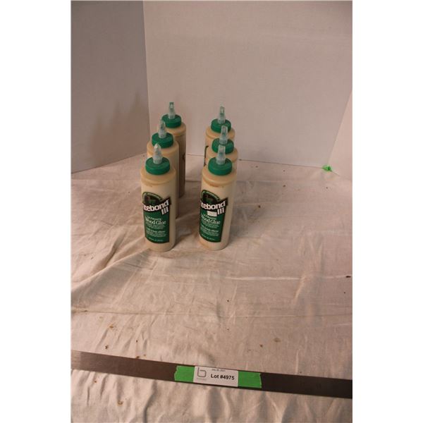 (2X THE MONEY) Titebond III Wood Glue (6 Bottles)