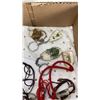 Image 3 : TRAY OF ENCASED BUG KEYCHAINS, NECKLACES, BRACELETS