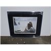 Image 1 : Limited edition Print Pride of the Pacific Rim by Glenn Olson signed and numbered