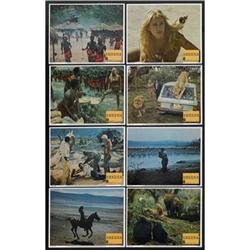 Sheena (Columbia, 1984). Lobby Card Set of 8