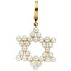 Image 1 : Cultured Pearl, Gold Pendant-Enhancer